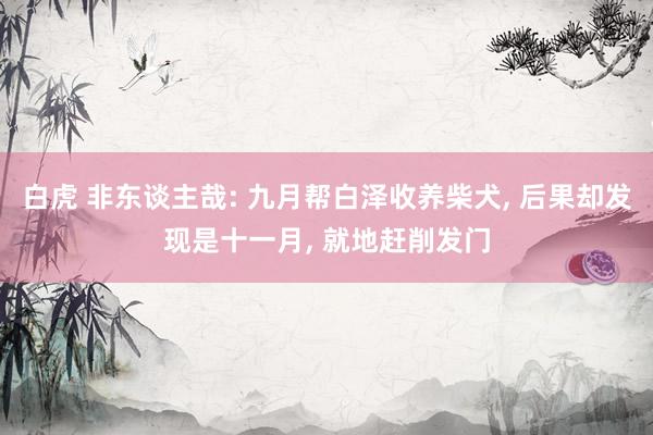 白虎 非东谈主哉: 九月帮白泽收养柴犬， 后果却发现是十一月， 就地赶削发门