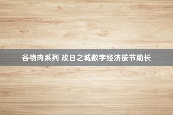谷物肉系列 改日之城数字经济拔节助长