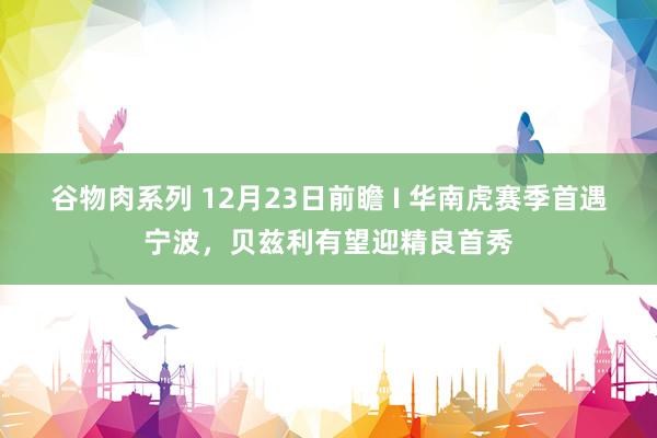 谷物肉系列 12月23日前瞻 I 华南虎赛季首遇宁波，贝兹利有望迎精良首秀