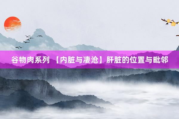 谷物肉系列 【内脏与凄沧】肝脏的位置与毗邻