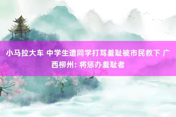 小马拉大车 中学生遭同学打骂羞耻被市民救下 广西柳州: 将惩办羞耻者