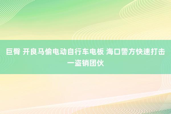 巨臀 开良马偷电动自行车电板 海口警方快速打击一盗销团伙