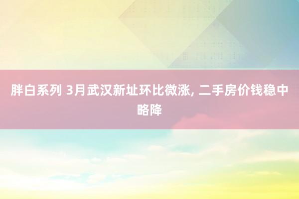 胖白系列 3月武汉新址环比微涨， 二手房价钱稳中略降